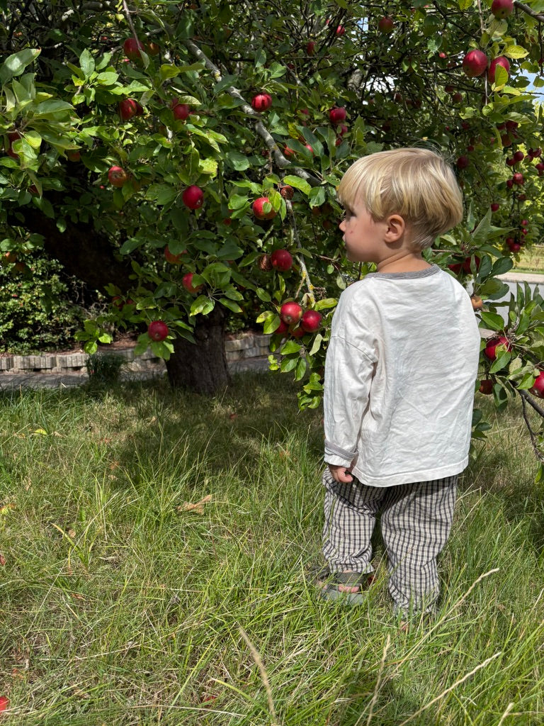 Into nature with GAVN – little explorers