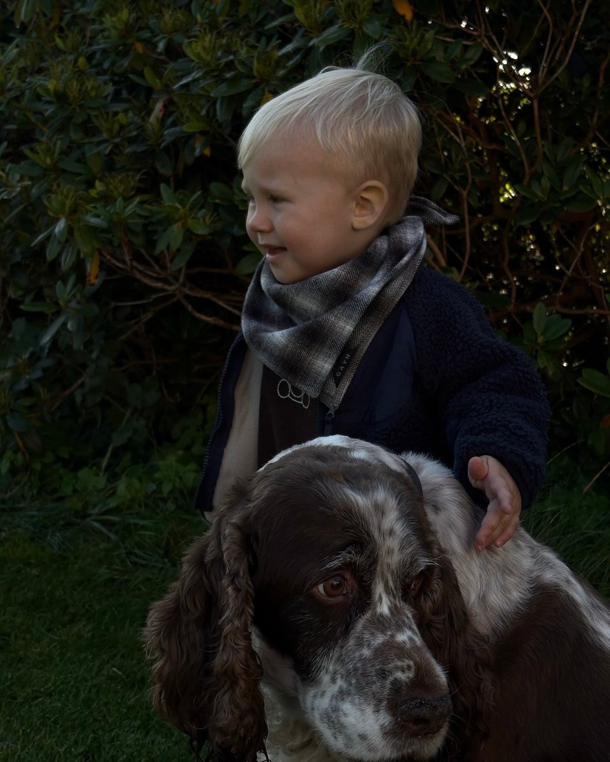 Cocoa scarf in soft brown, cream and grey check – boy outdoors with a dog